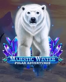 Majestic Winter - Polar Adventures