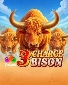 3 Charge Bison