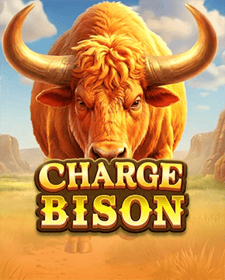 Charge Bison