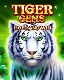 Tiger Gems