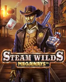 Steam Wilds Megaways