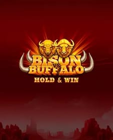 Bison vs Buffalo