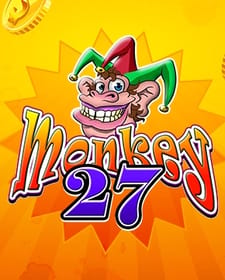 Monkey 27