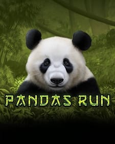 Panda's Run