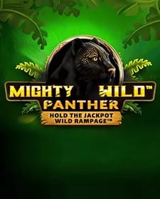 Mighty Wild Panther