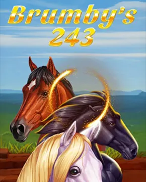 Brumby's 243