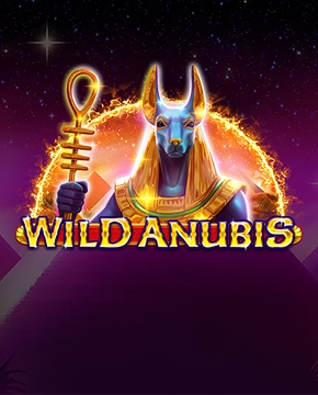 Wild Anubis