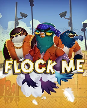 Flock Me