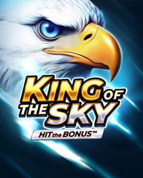 King of the Sky: Hit the Bonus
