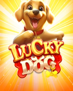 Lucky Dog